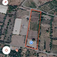 فروش باغ|فروش دفتر صنعتی، کشاورزی، تجاری|رودان, |دیوار