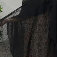 گل پنبه ای سیاه