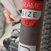 دوچرخه اسکیل مکس