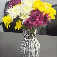 استخدام خانم خانه دار ، نظافت و آشپزی