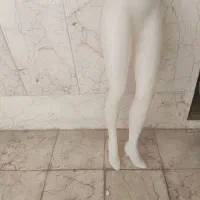 مانکن پایین تنه شلوار زنانه|لباس|فردیس, فردیس|دیوار