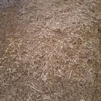 فروش پوشال تمام گردو|لوازم جانبی حیوانات|رباط‌کریم, وهن آباد|دیوار