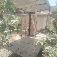 کانکس متحرک