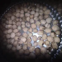 گردو درجه یک خشک