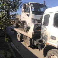 فورس F 38 خشک تکسوز 1404