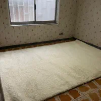 فرش 6متری مدل شگی آکبند و نو|فرش|لاهیجان, گلستان|دیوار