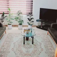 مبله لاکچری صدرا|اجارهٔ کوتاه‌مدت آپارتمان و سوئیت|شیراز, شهرک گلستان|دیوار