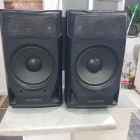 باند آیوا Z3300/ پایونییر ۶۹۹۸/ پایونییر ۸۰PRS