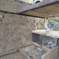 کبوتر ماده دمگیر|پرنده|سمیرم, |دیوار