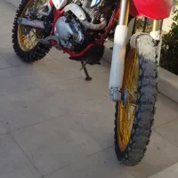 تریل برمودا 250 نیوفیس