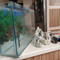 آکواریوم با تجهیزات|ماهی|تبریز, |دیوار