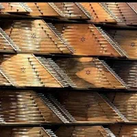 سنتور٪٪ویژه