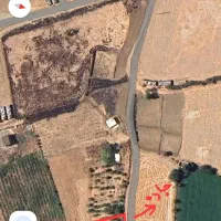 باغ در برده رشه با درختان بزرگ|فروش زمین و ملک کلنگی|خاو و میرآباد, |دیوار