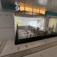 ساخت و بازسازی استخر|مصالح و تجهیزات ساختمان|چهارباغ, |دیوار