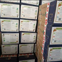 کاتالیزو،کاتالیست، کاتالیز