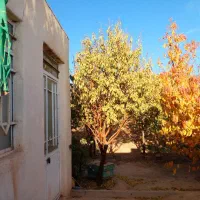 فروش ویژه باغ|فروش خانه و ویلا|نیشابور, مازول|دیوار