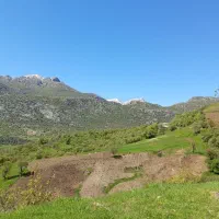 خانه اجاره ای  در فاز دو بهاران