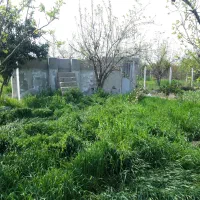 یک باب مغازه با۸۰۰ مترباغ یکجا هم نقدهم معاوضه|فروش مغازه و غرفه|گرگان, |دیوار