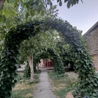 خانه اجاره ایی|اجارهٔ خانه و ویلا|الیگودرز, |دیوار