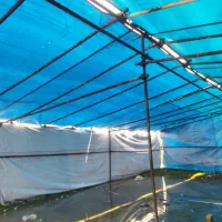 داربست فلزی|خدمات پیشه و مهارت|قروه, |دیوار