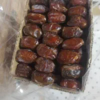 خرما کبکاب|خوردنی و آشامیدنی|شیراز, گلستان|دیوار