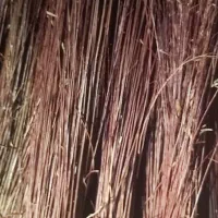 ترکه مروار سبدبافی