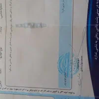 شاهین ۱۴۰۰ سانروف دار|خودرو سواری و وانت|سبزوار, توحیدشهر|دیوار