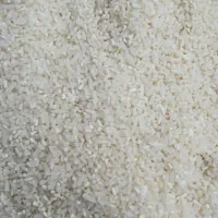 نیم دانه ریز دمسیاه|خوردنی و آشامیدنی|کوچصفهان, |دیوار