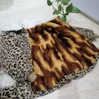 وسایل بچه|کفش و لباس بچه|مشکیندشت, |دیوار