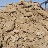 کود مرغ گوشتی|خدمات باغبانی و درختکاری|نیشابور, دربقاضی|دیوار