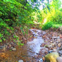 اجاره ویلاجنگلی درطبیعت زیبا ودلنوازگشت رودخان|اجارهٔ کوتاه‌مدت ویلا و باغ|فومن, |دیوار