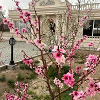 فروش باغ ویلا ۱۵۰۰ متری، فردوسیه،شهریار