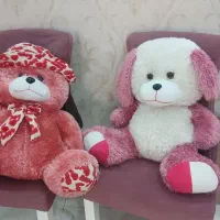 عروسک پولیشی کاملا سالم و نو