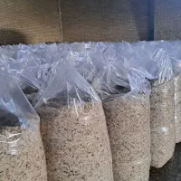 تفاله چغندرخشک فشنگی وتر بارطوبت کم باقیمت منصفانه|لوازم جانبی حیوانات|میاندوآب, |دیوار