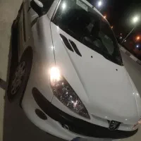 ۲۰۶ اس دی خشک نو