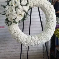 گل ترحیم به قیمت بازار|گل و گیاه طبیعی|تهران, مهرآباد جنوبی|دیوار