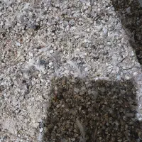 فضله (کود)بلدرچین