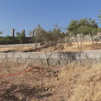 باغ فروشی در روستای مزرعه|فروش خانه و ویلا|صوفیان, |دیوار