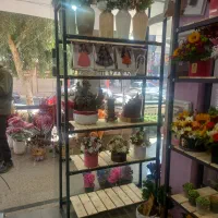 پروفیل چوب روس قفسه رگال درجه یک|فروشگاه و مغازه|ساوه, |دیوار