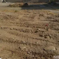 زمین شیرینو  عسلویه