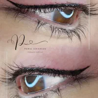آفر ویژه آرایش دائم (میکرو) در شهرک غرب تهران|خدمات آرایشگری و زیبایی|تهران, درختی|دیوار