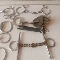 دهنه سوارکاری|اسب و تجهیزات اسب‌سواری|تهران, وردآورد|دیوار