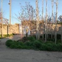 خونه-باغ-روستایی