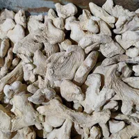 ادویه عمده گل محمدی دارچین سیگار زنجبیل و فلفل دان|عمده‌فروشی|شهرکرد, |دیوار