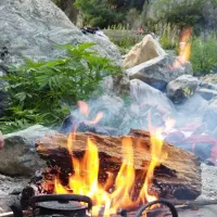 پارتنر طبیعت گردی و سفر|فعالیت داوطلبانه|همدان, |دیوار