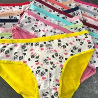 تعدادی لباس زیر با طرح و سایز متفاوت بفروش میرسد