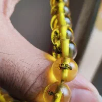 تسبیح اصل کهربا مورچه ای وشاه مقصود