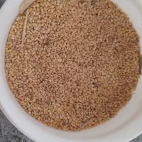 ۳۰ کیلو ارزن فرو شی