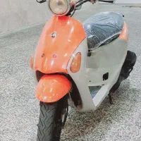 پاکشتی پالت
