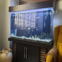 آکواریوم شیشه خم . سنگ آکواریوم . تزئینات آکواریوم